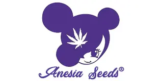 Anesia Seeds