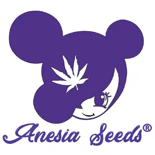 Anesia Seeds