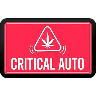 Original Auto Critical