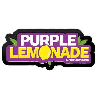 Purple Lemonade