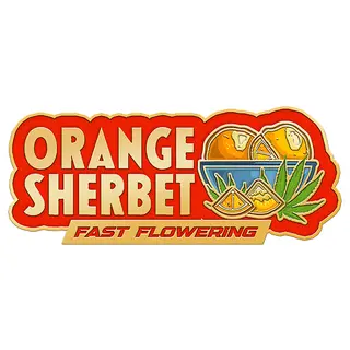 Orange Sherbet Fast