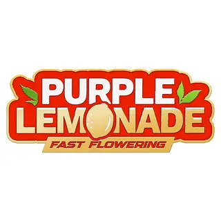 Purple Lemonade Fast