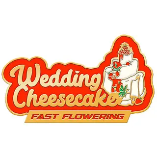 Wedding Cheesecake Fast