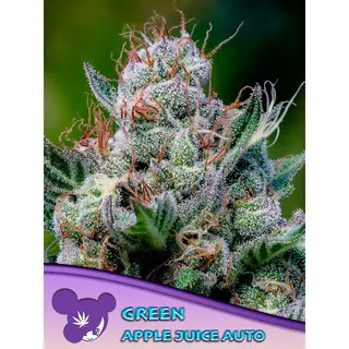 Green Apple Juice Auto