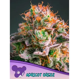 Apricot Oreoz