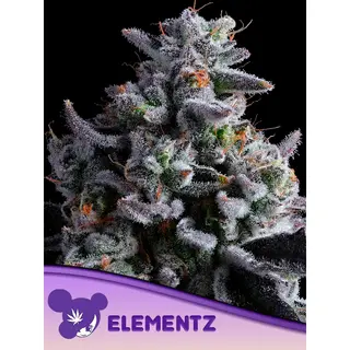 Elementz