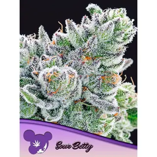 Sour Betty