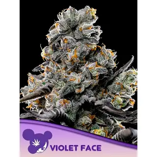 Violet Face