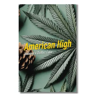 American High