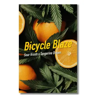 Bicycle Blaze