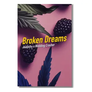 Broken Dreams