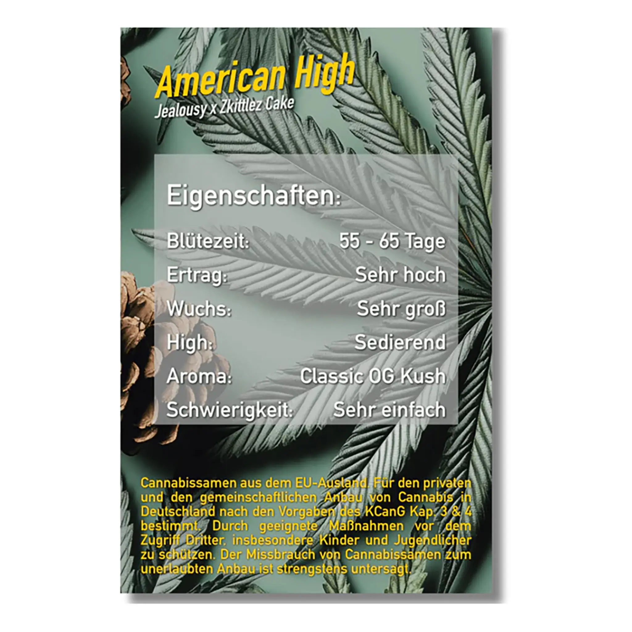 American High-3 Stück-